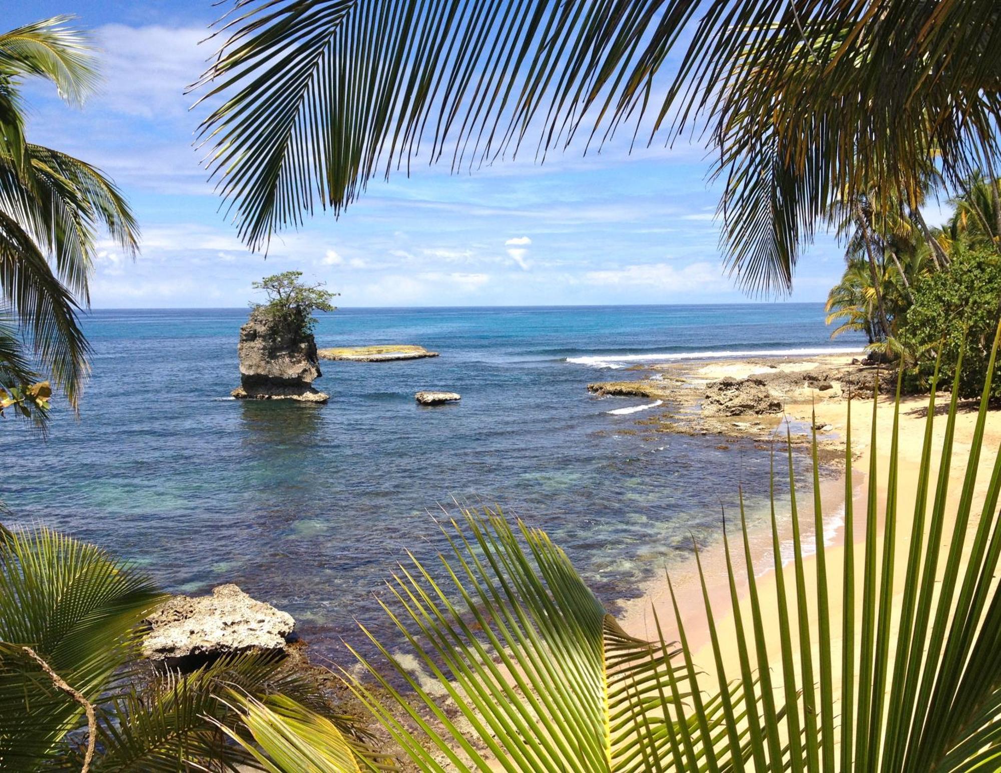 Physis Caribbean Bed & Breakfast Puerto Viejo de Talamanca 외부 사진