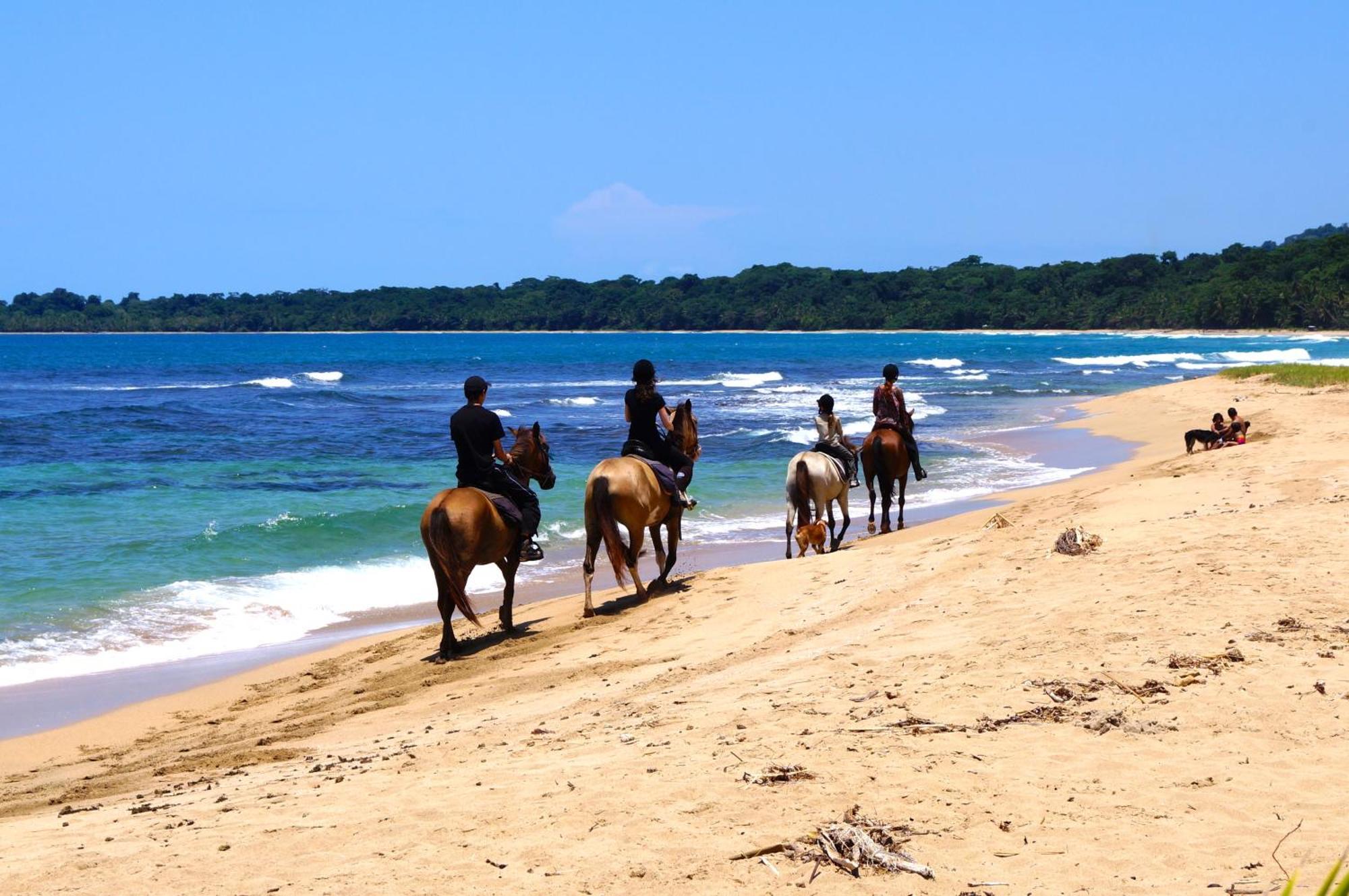 Physis Caribbean Bed & Breakfast Puerto Viejo de Talamanca 외부 사진