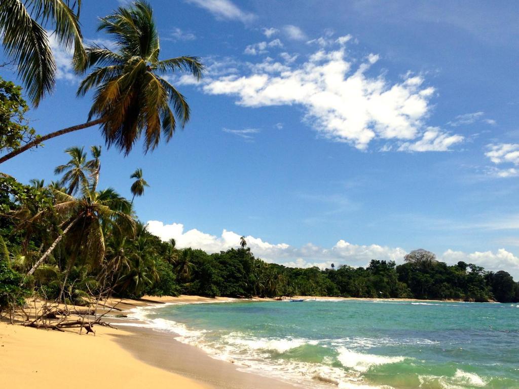 Physis Caribbean Bed & Breakfast Puerto Viejo de Talamanca 외부 사진