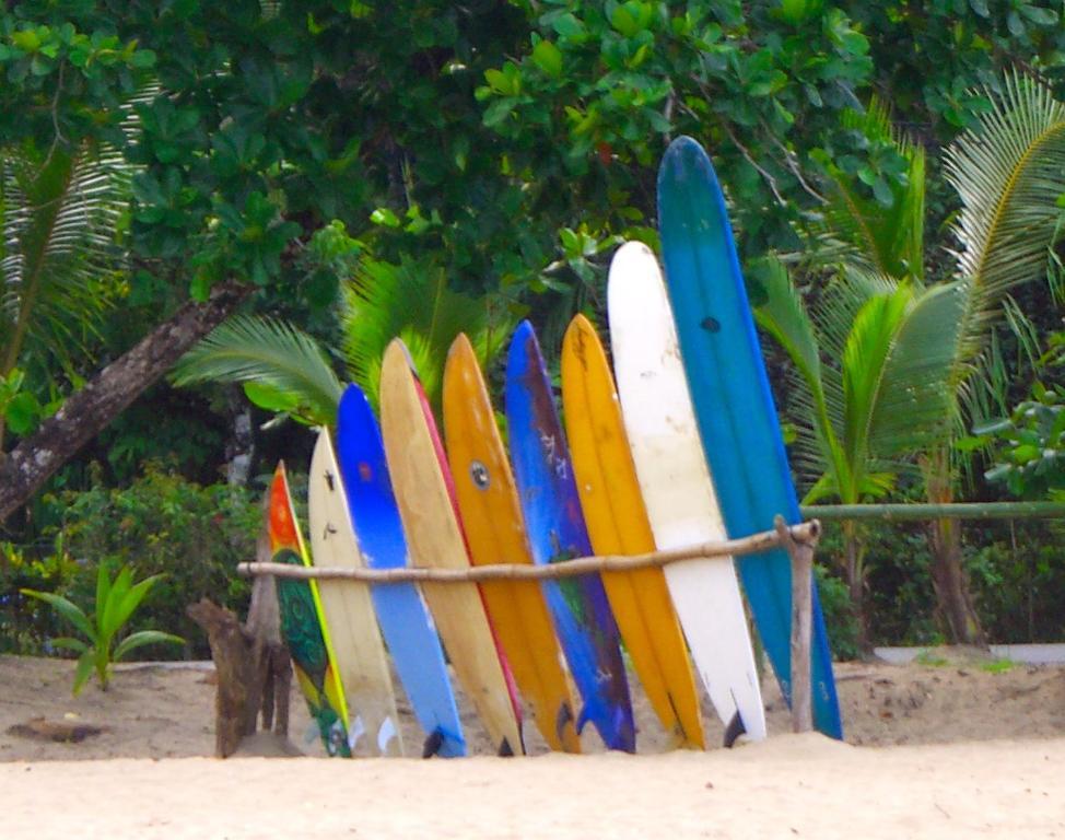 Physis Caribbean Bed & Breakfast Puerto Viejo de Talamanca 외부 사진