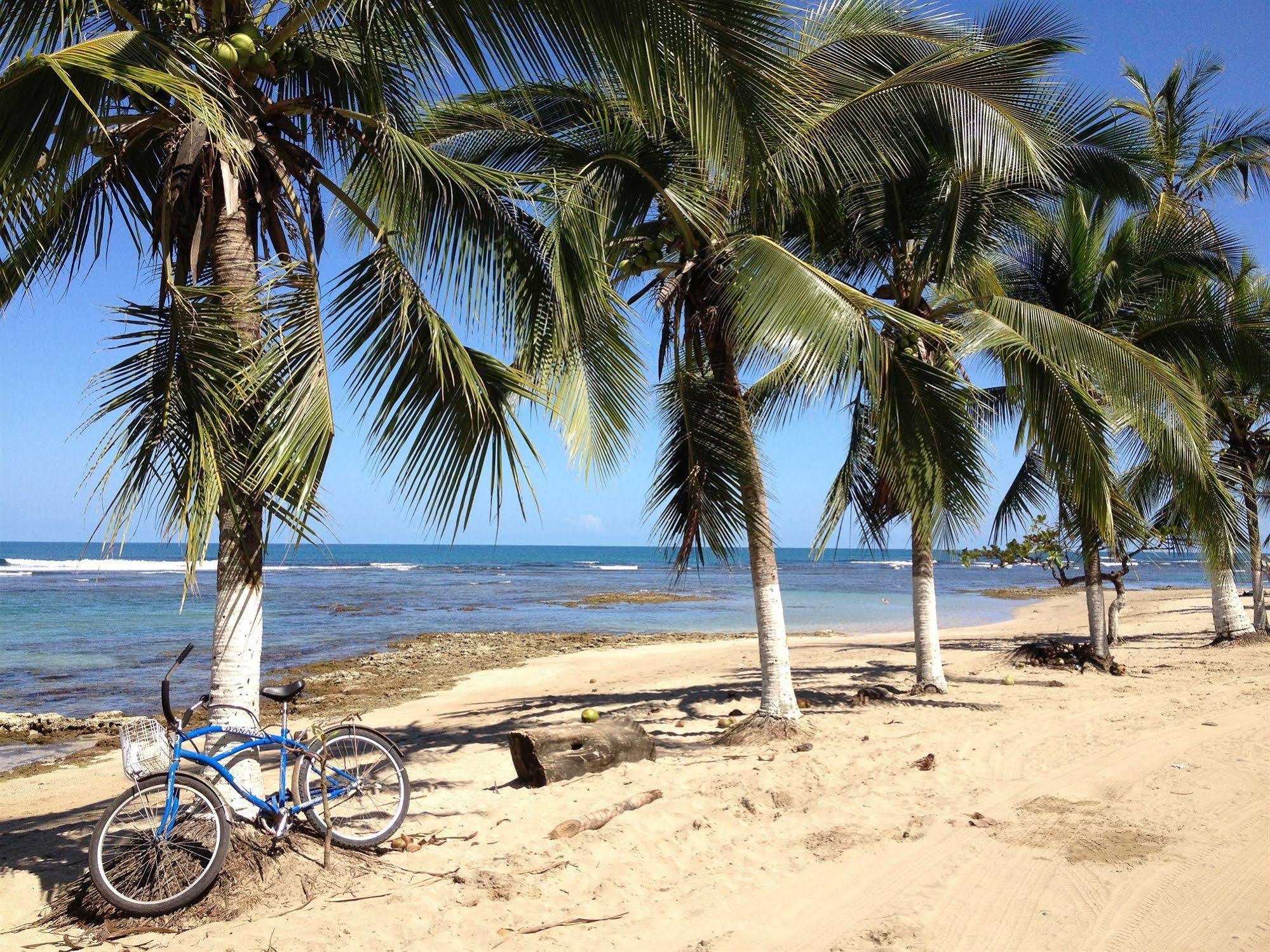 Physis Caribbean Bed & Breakfast Puerto Viejo de Talamanca 외부 사진