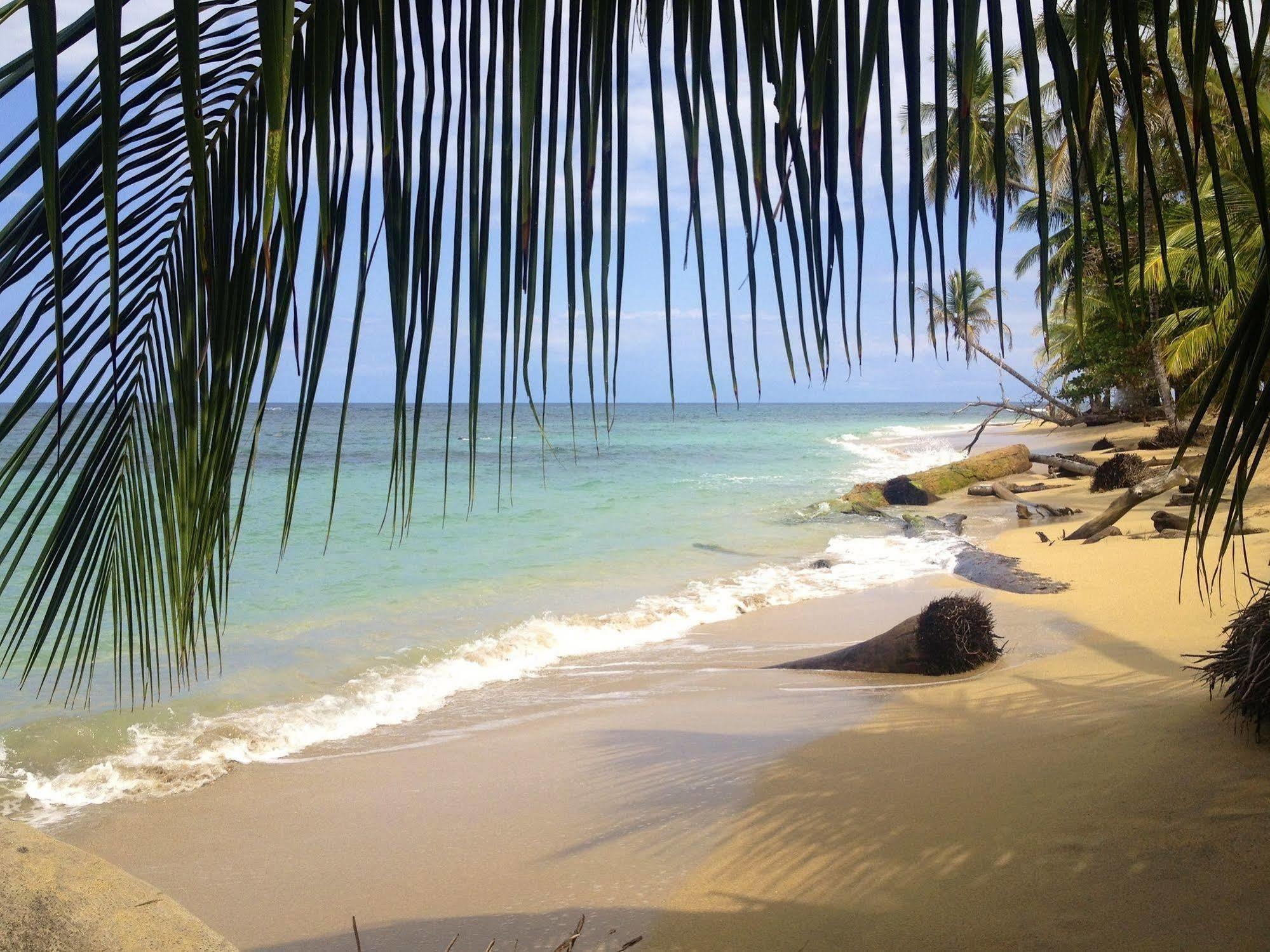 Physis Caribbean Bed & Breakfast Puerto Viejo de Talamanca 외부 사진