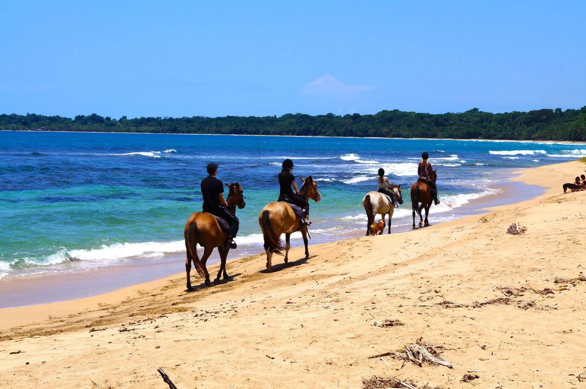 Physis Caribbean Bed & Breakfast Puerto Viejo de Talamanca 외부 사진