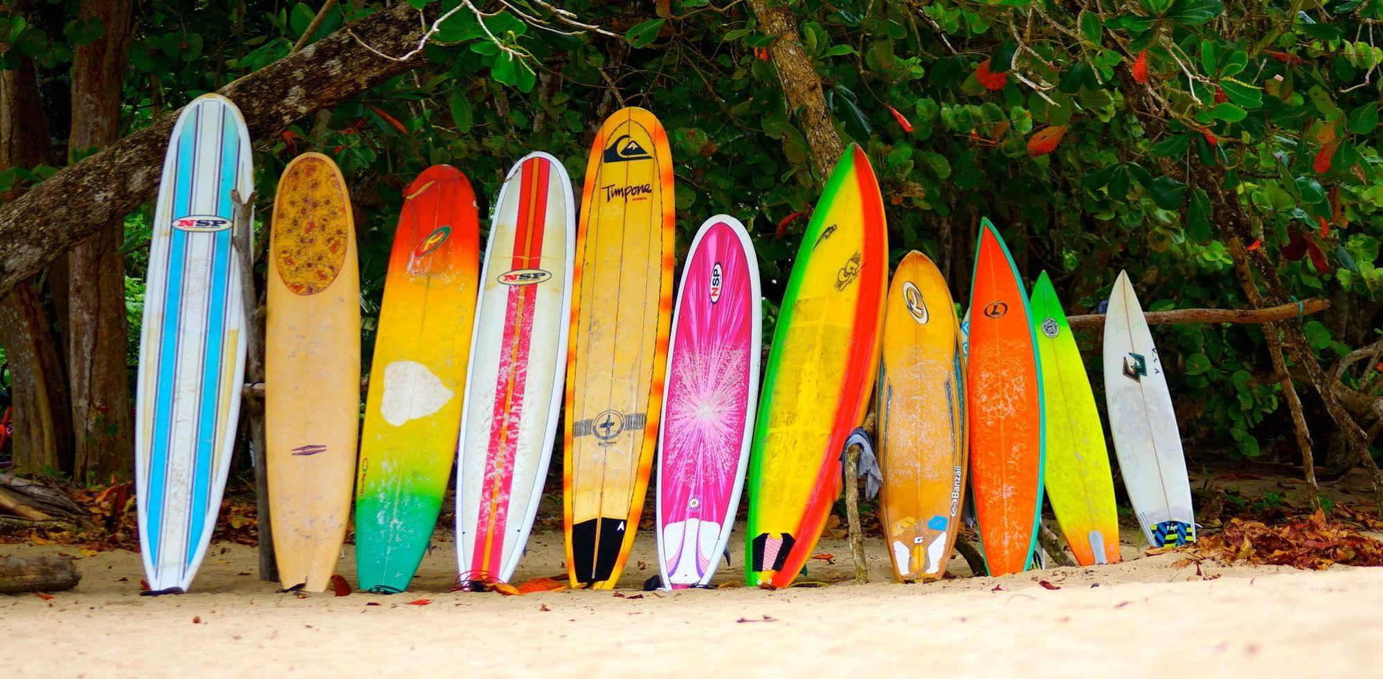 Physis Caribbean Bed & Breakfast Puerto Viejo de Talamanca 외부 사진